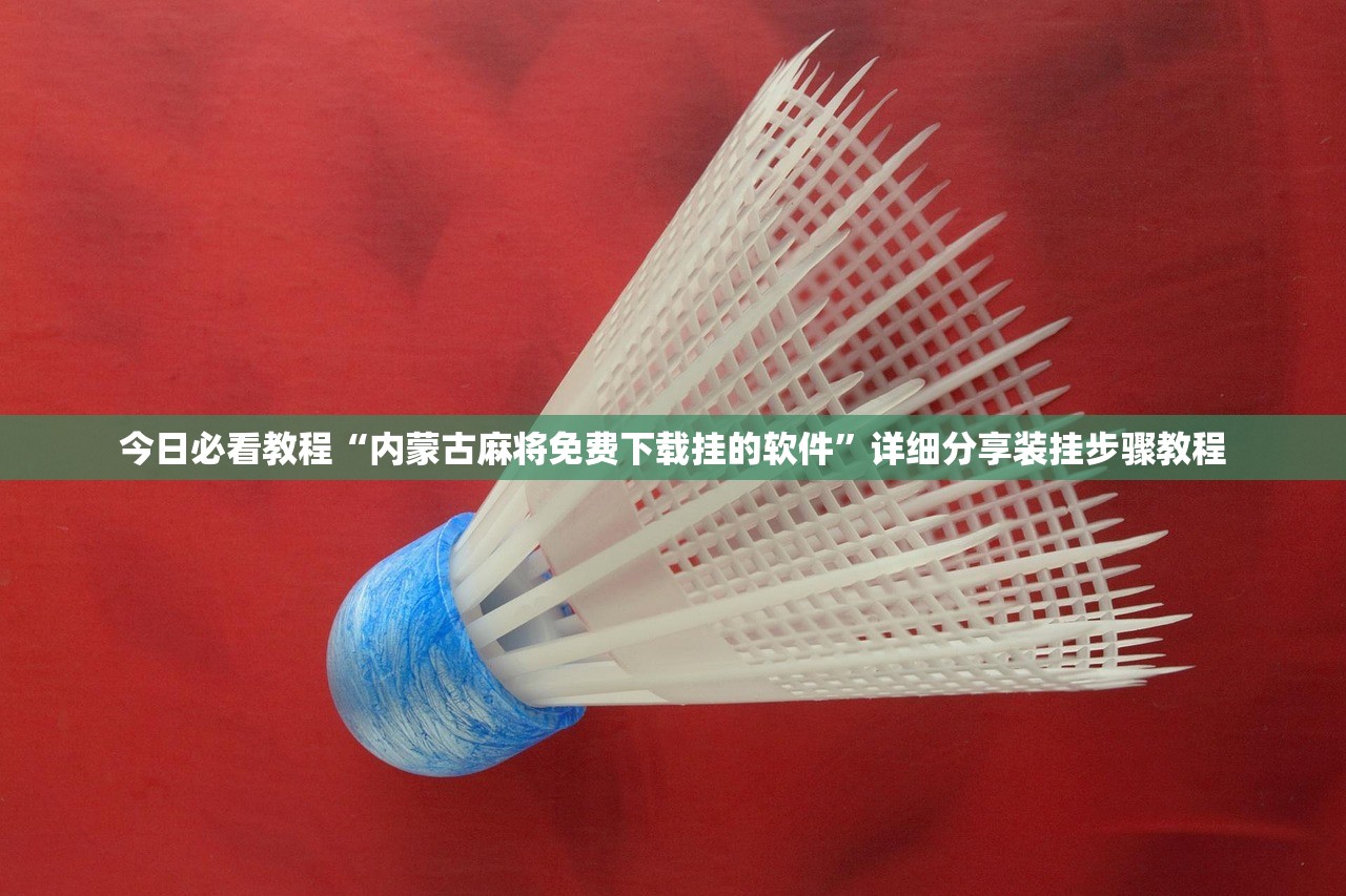 今日必看教程“内蒙古麻将免费下载挂的软件”详细分享装挂步骤教程