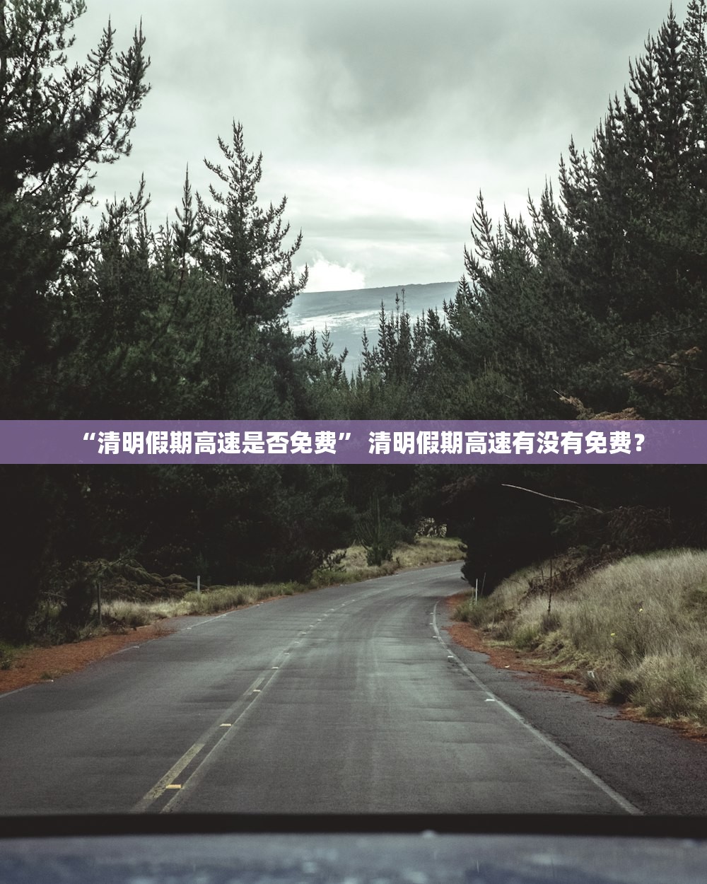 “清明假期高速是否免费” 清明假期高速有没有免费？