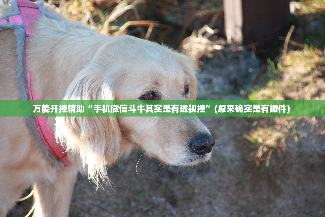 万能开挂辅助“手机微信斗牛其实是有透视挂”(原来确实是有插件) 