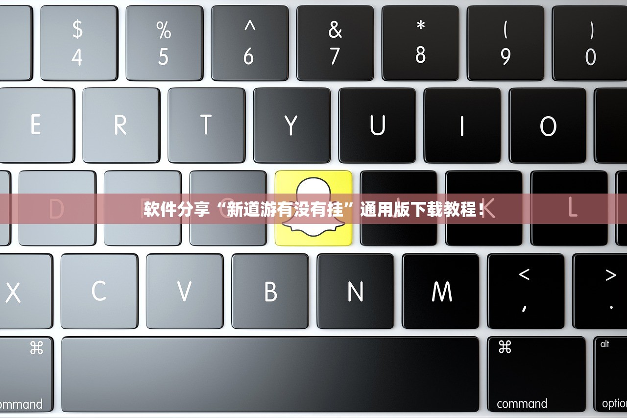 软件分享“新道游有没有挂”通用版下载教程！