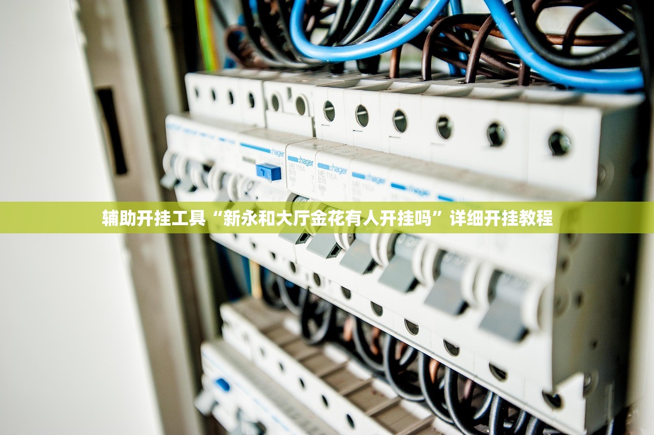 辅助开挂工具“新永和大厅金花有人开挂吗”详细开挂教程