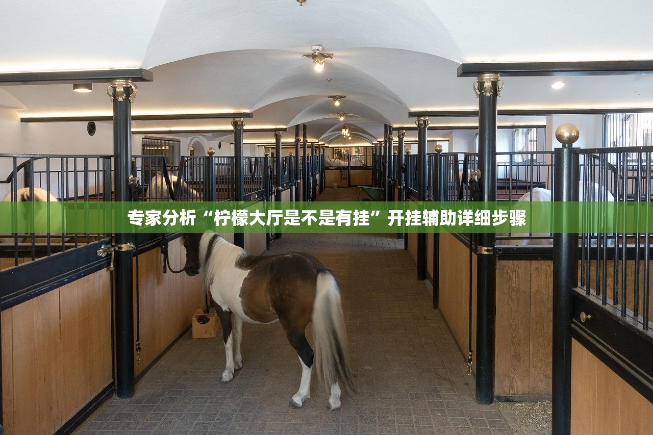 专家分析“柠檬大厅是不是有挂”开挂辅助详细步骤
