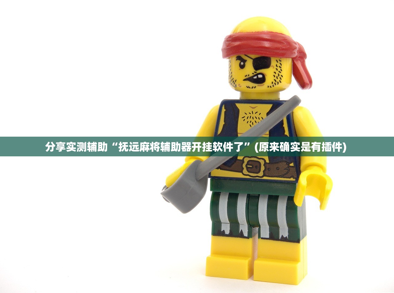 分享实测辅助“抚远麻将辅助器开挂软件了”(原来确实是有插件) 