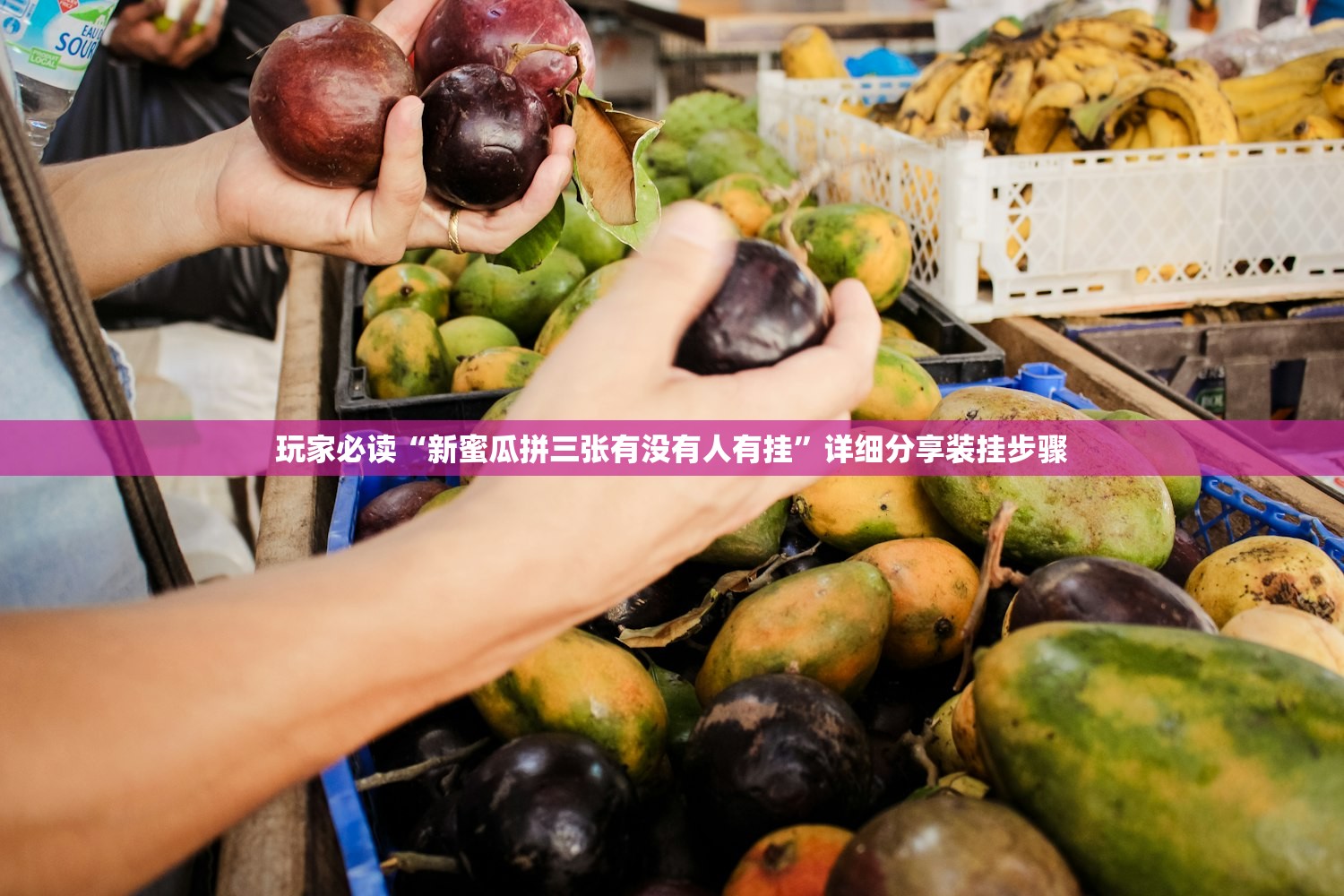 玩家必读“新蜜瓜拼三张有没有人有挂”详细分享装挂步骤