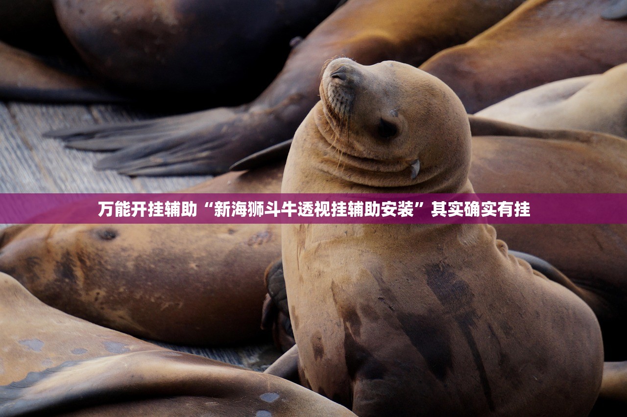 万能开挂辅助“新海狮斗牛透视挂辅助安装”其实确实有挂