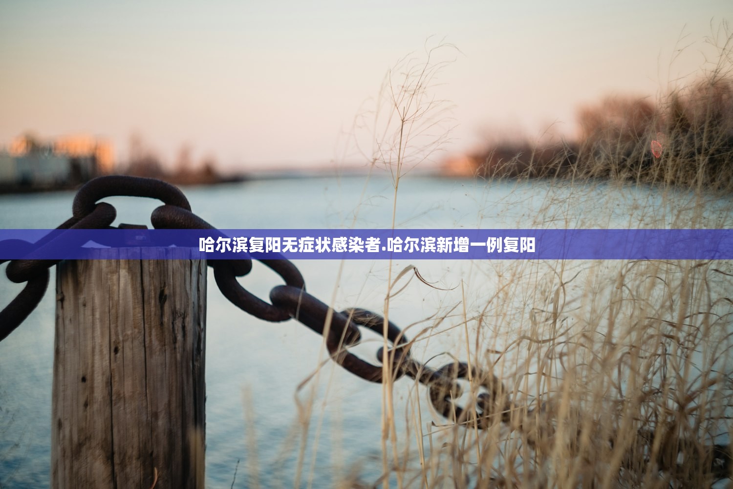 哈尔滨复阳无症状感染者.哈尔滨新增一例复阳