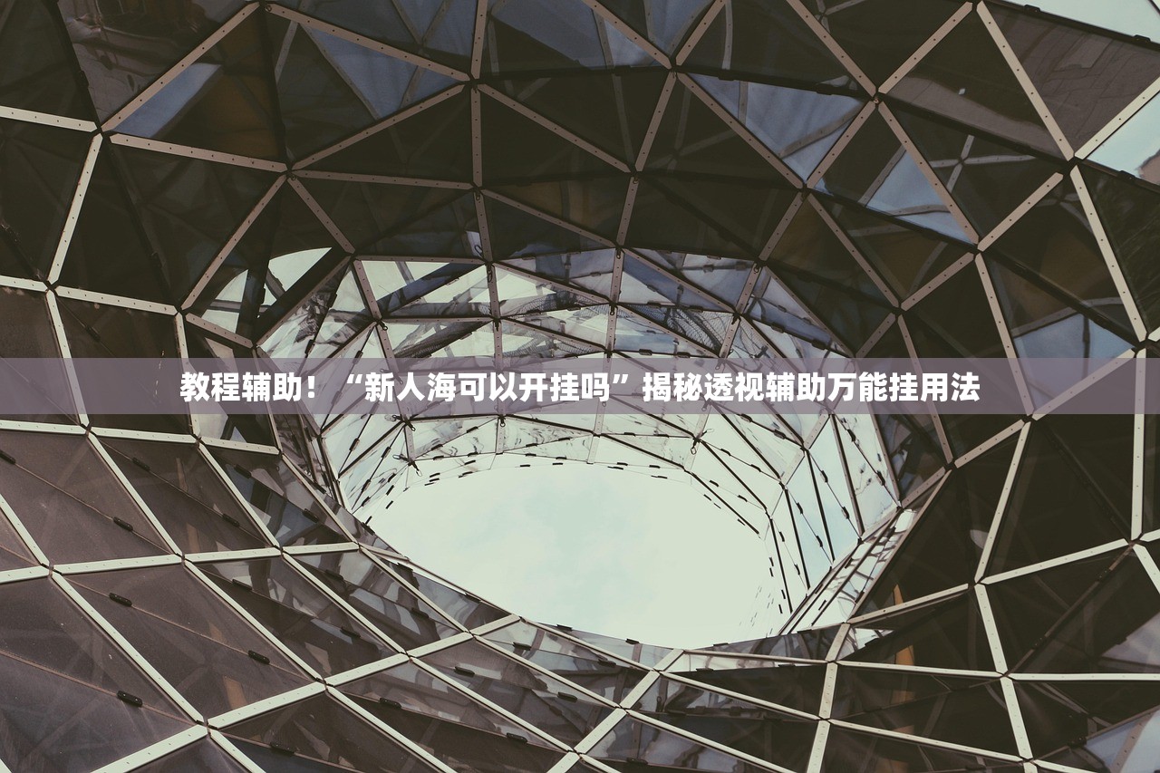 教程辅助！“新人海可以开挂吗”揭秘透视辅助万能挂用法