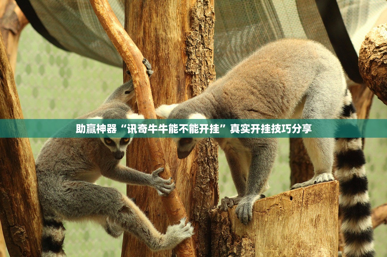 助赢神器“讯奇牛牛能不能开挂	”真实开挂技巧分享