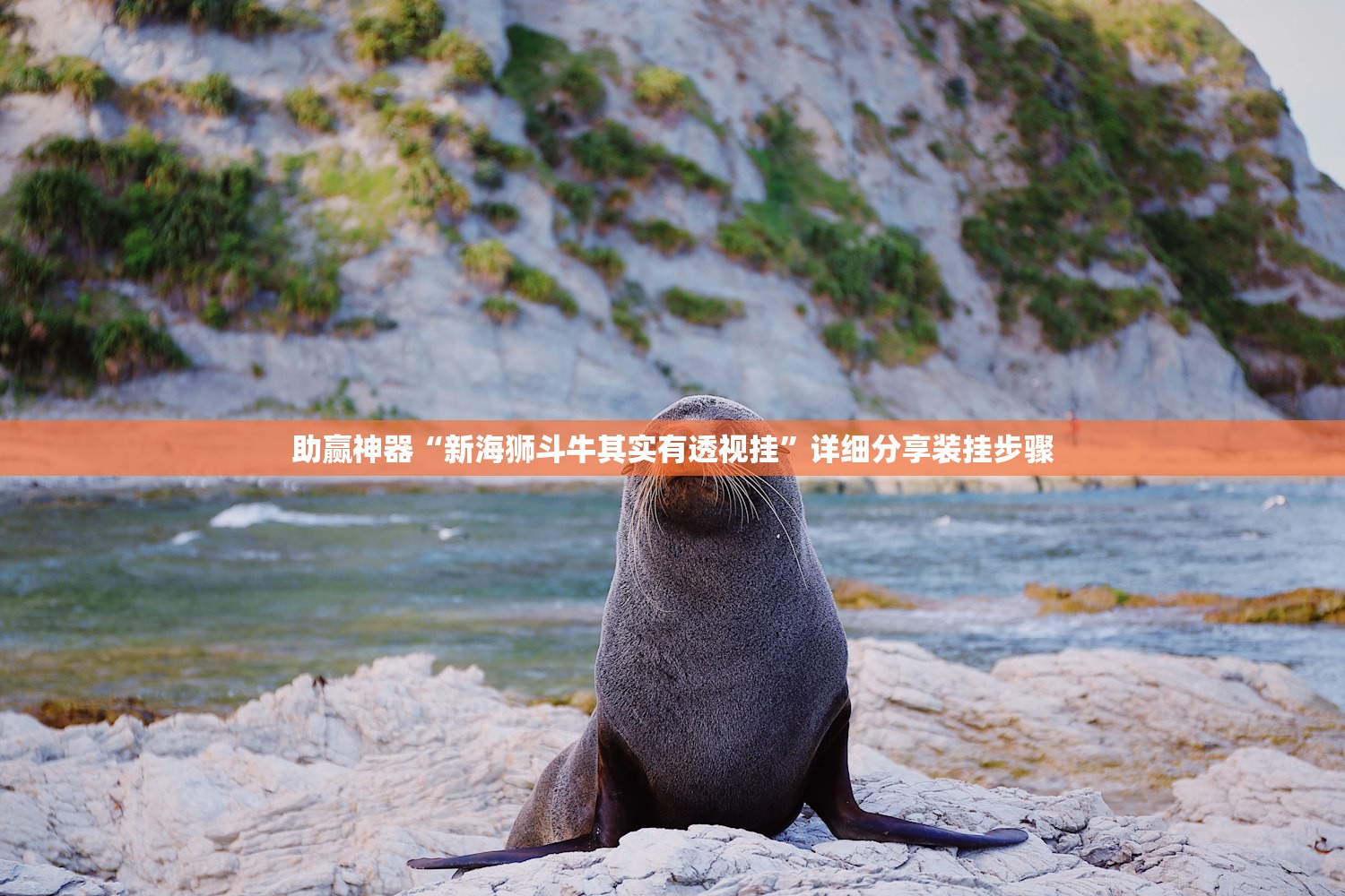 助赢神器“新海狮斗牛其实有透视挂	”详细分享装挂步骤