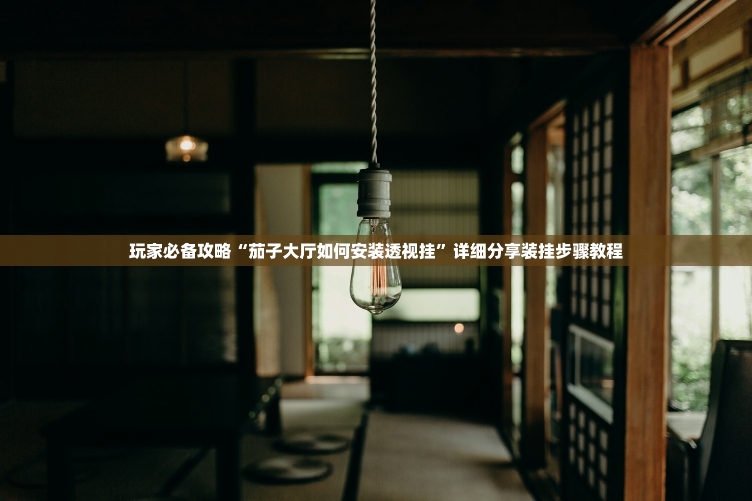 玩家必备攻略“茄子大厅如何安装透视挂”详细分享装挂步骤教程