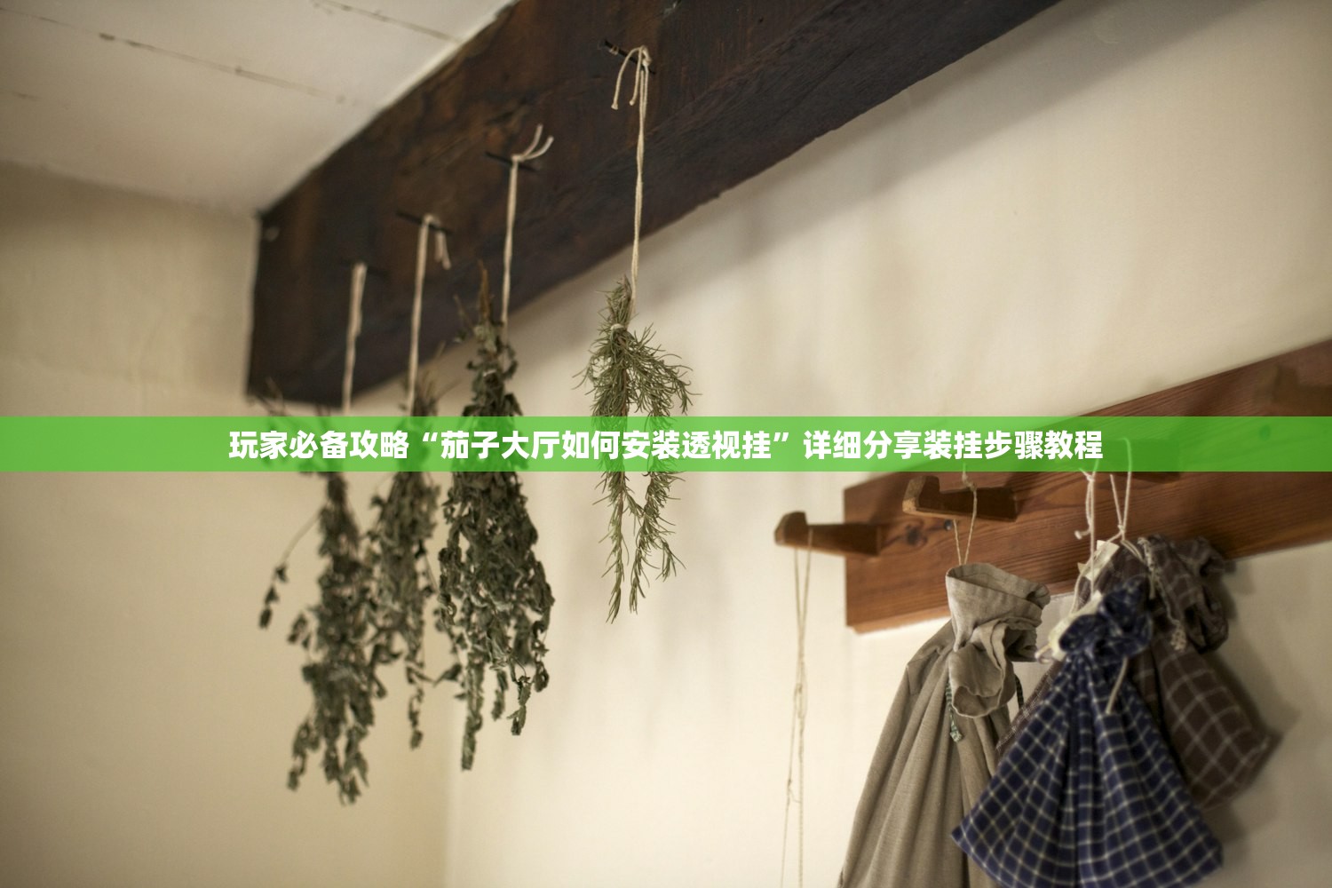 玩家必备攻略“茄子大厅如何安装透视挂”详细分享装挂步骤教程