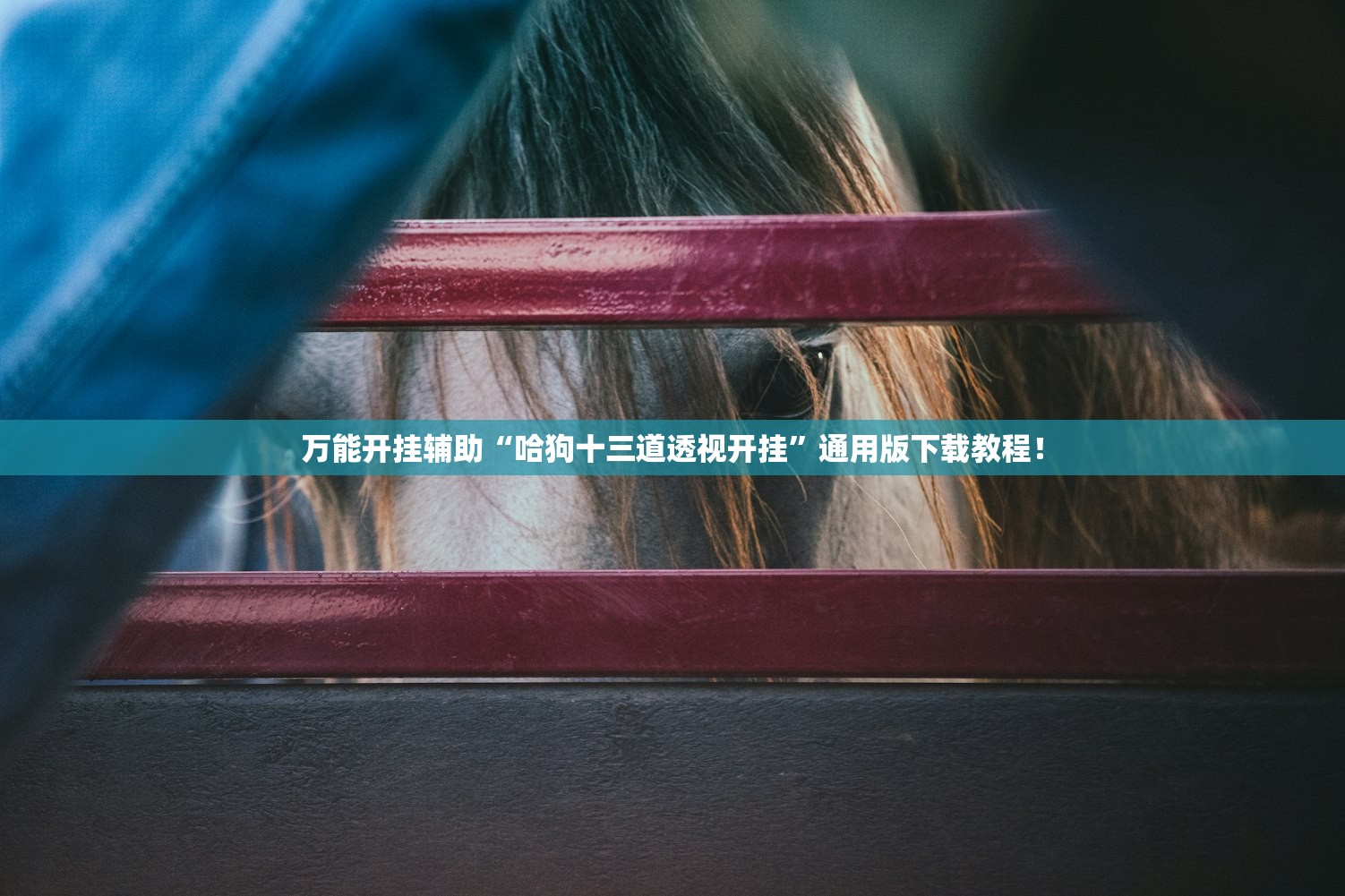 万能开挂辅助“哈狗十三道透视开挂”通用版下载教程！