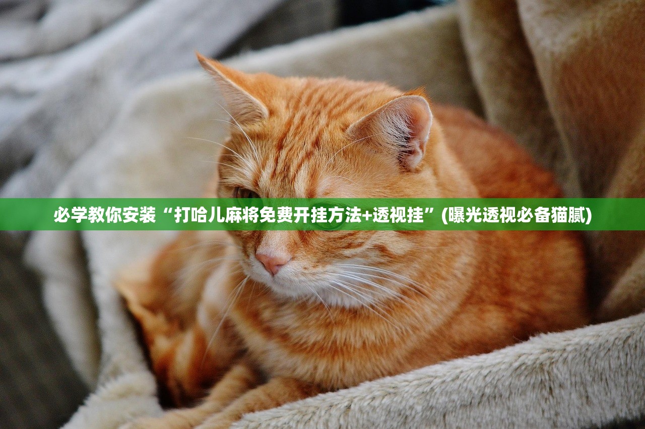 必学教你安装“打哈儿麻将免费开挂方法+透视挂”(曝光透视必备猫腻)