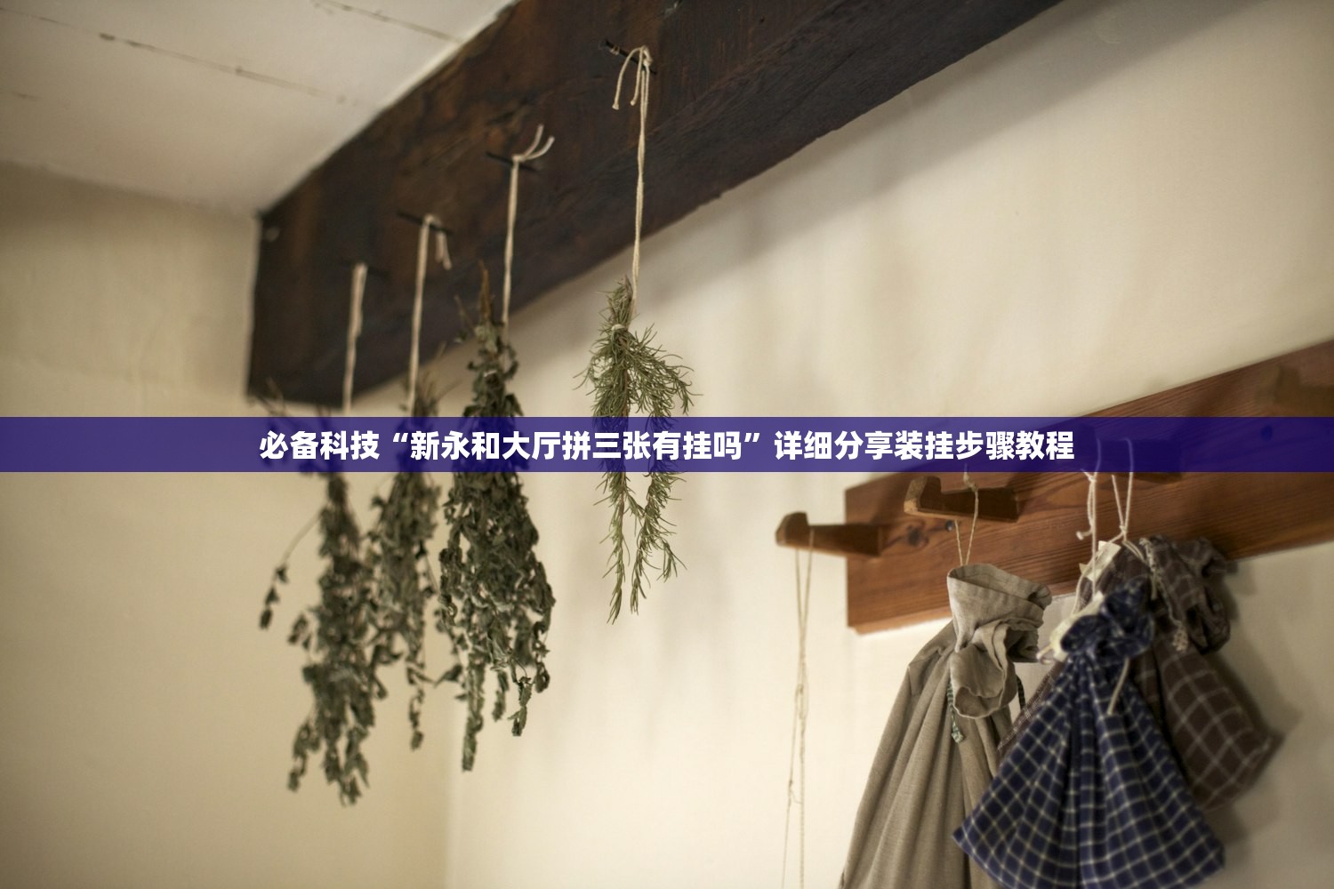 必备科技“新永和大厅拼三张有挂吗”详细分享装挂步骤教程