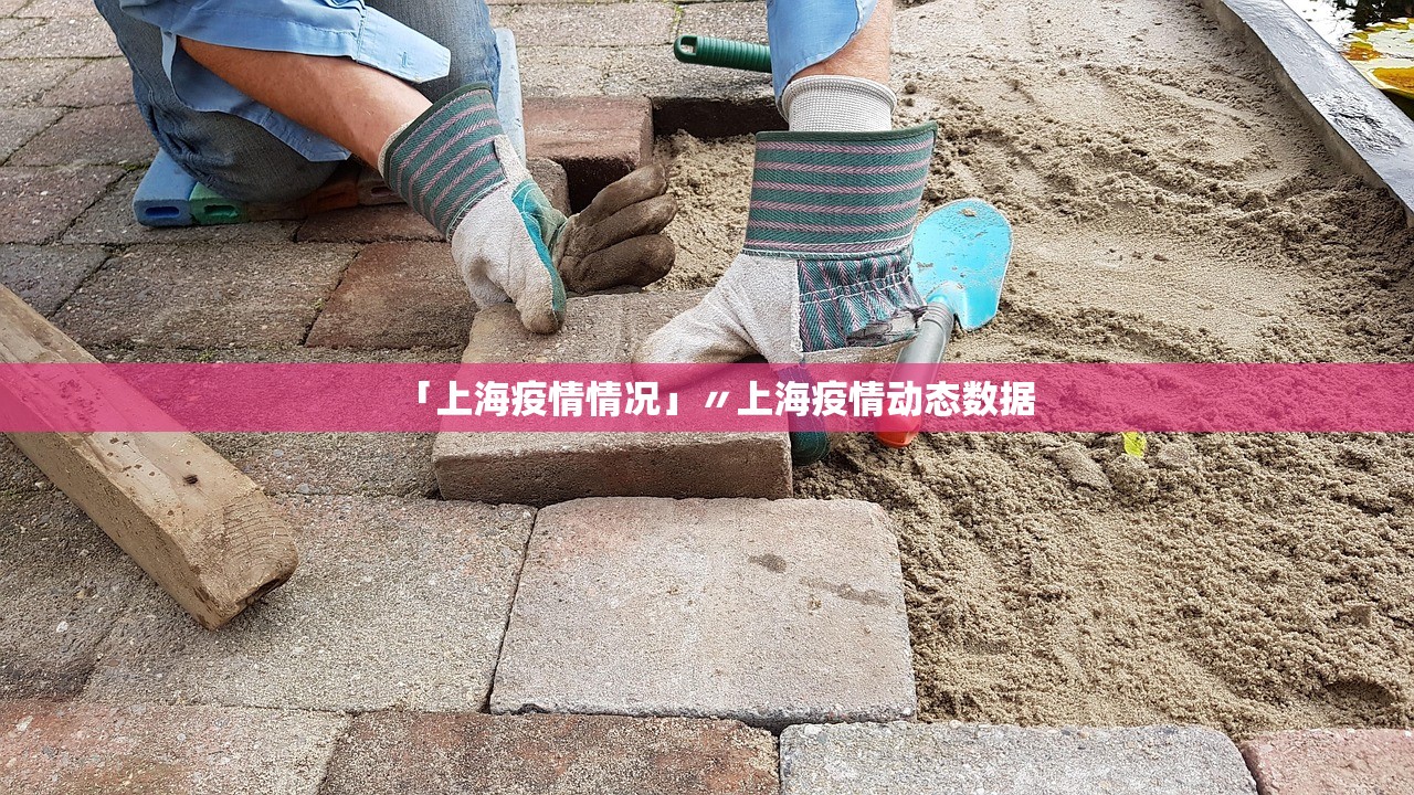 「上海疫情情况」〃上海疫情动态数据