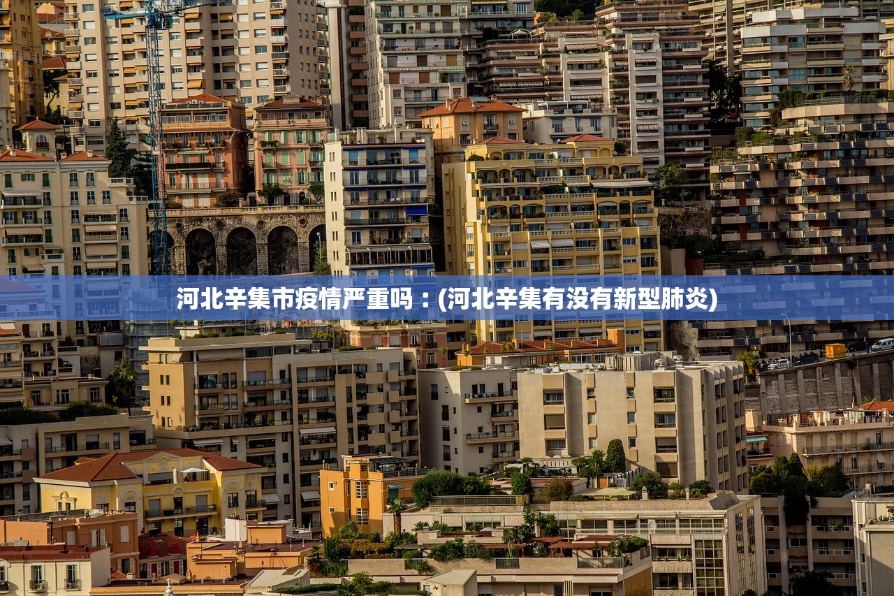 「北京:因瞒报等引发防疫风险将追责」〃北京隐瞒病情