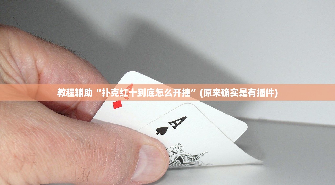 教程辅助“扑克红十到底怎么开挂	”(原来确实是有插件)