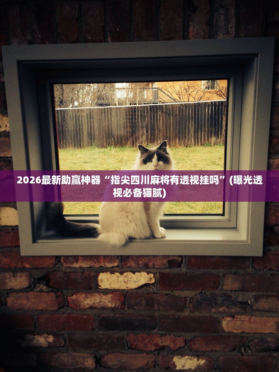 2026最新助赢神器“指尖四川麻将有透视挂吗”(曝光透视必备猫腻)