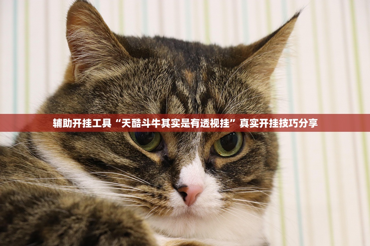 辅助开挂工具“天酷斗牛其实是有透视挂”真实开挂技巧分享