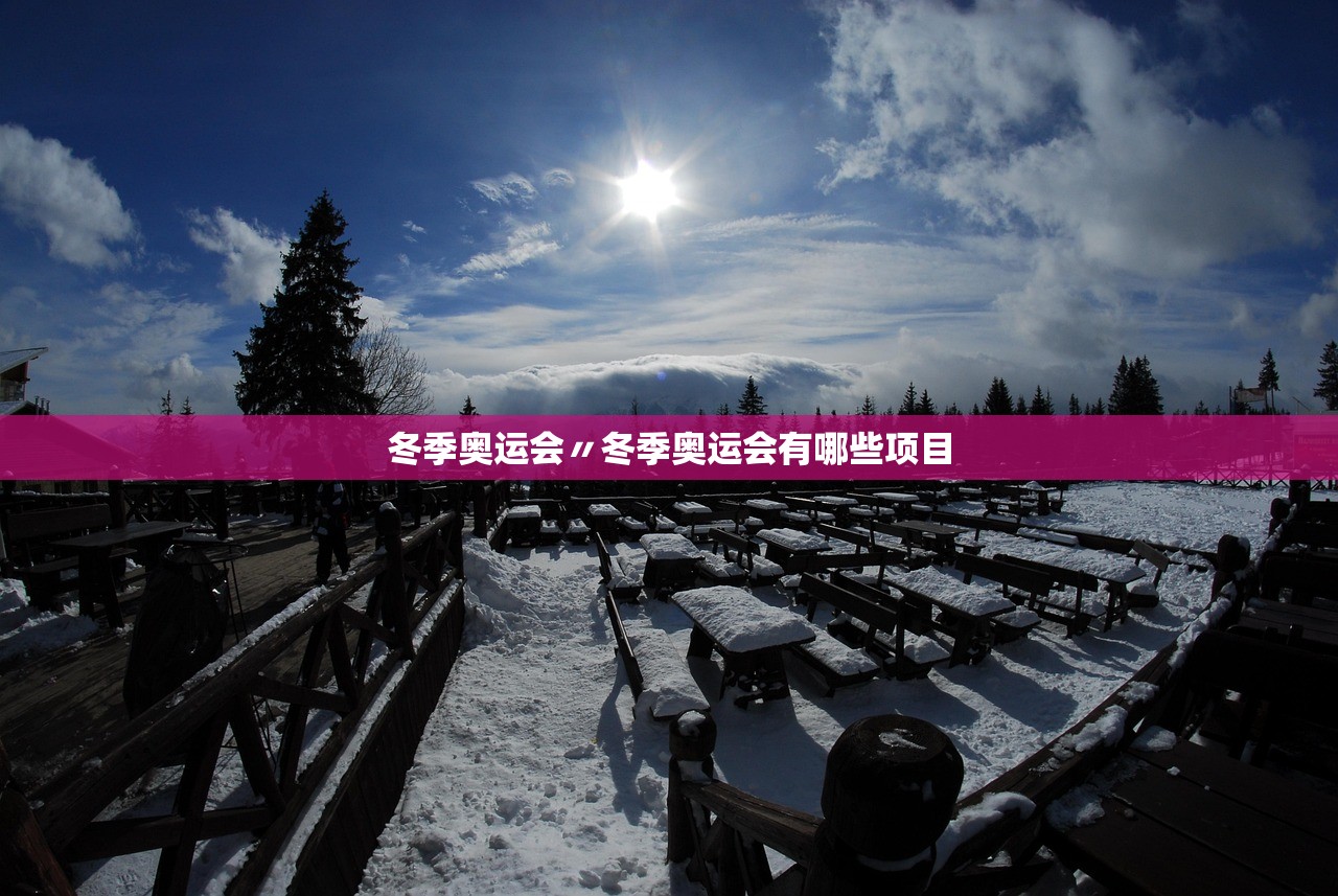 冬季奥运会〃冬季奥运会有哪些项目