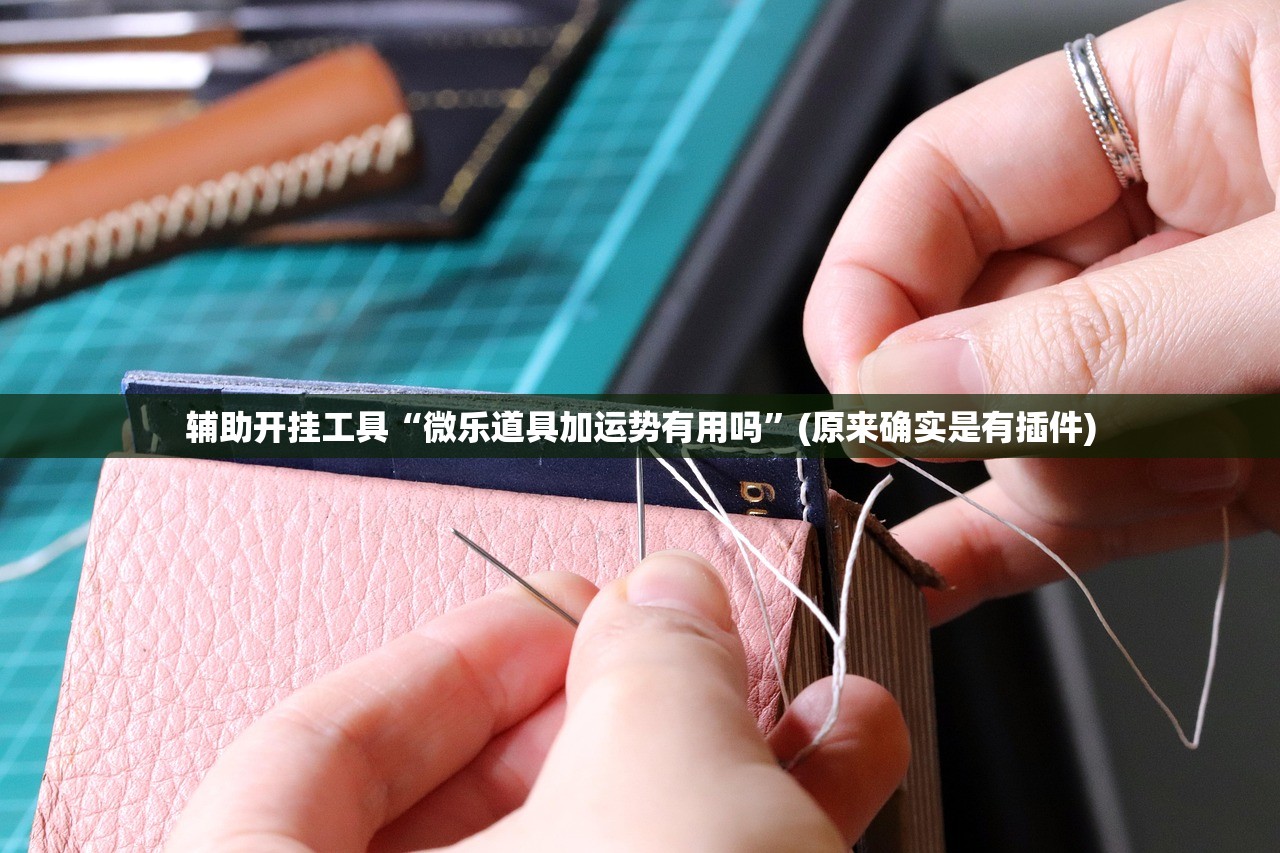 辅助开挂工具“微乐道具加运势有用吗”(原来确实是有插件)