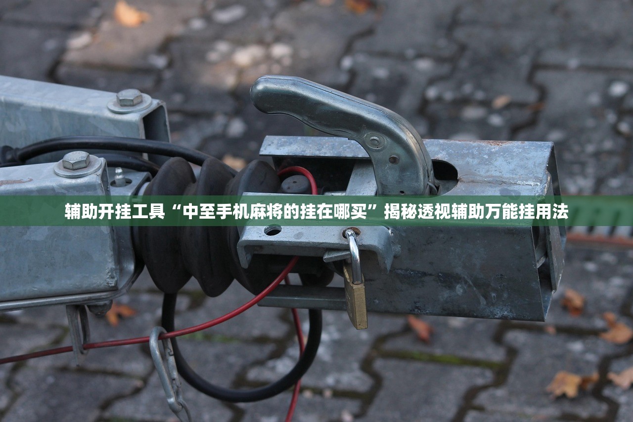 辅助开挂工具“中至手机麻将的挂在哪买	”揭秘透视辅助万能挂用法