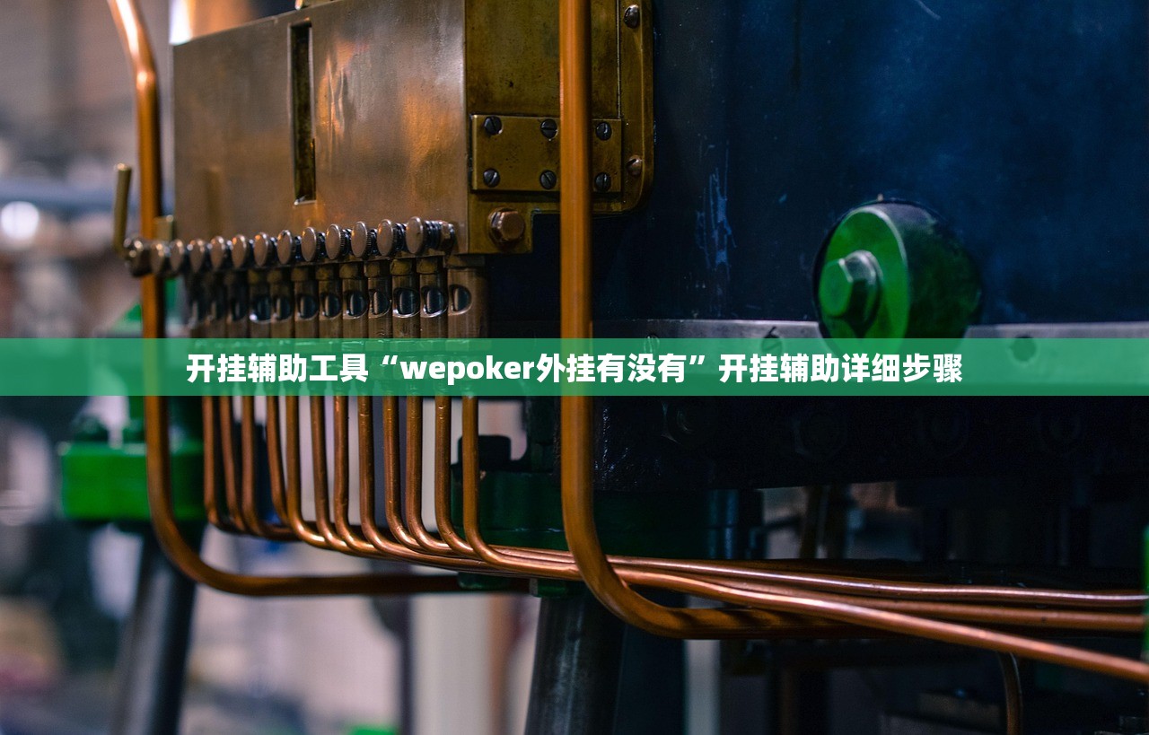 开挂辅助工具“wepoker外挂有没有”开挂辅助详细步骤