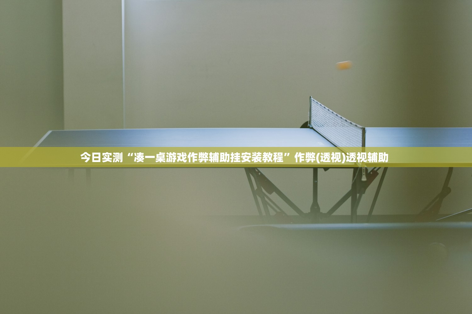 今日实测“凑一桌游戏作弊辅助挂安装教程”作弊(透视)透视辅助 