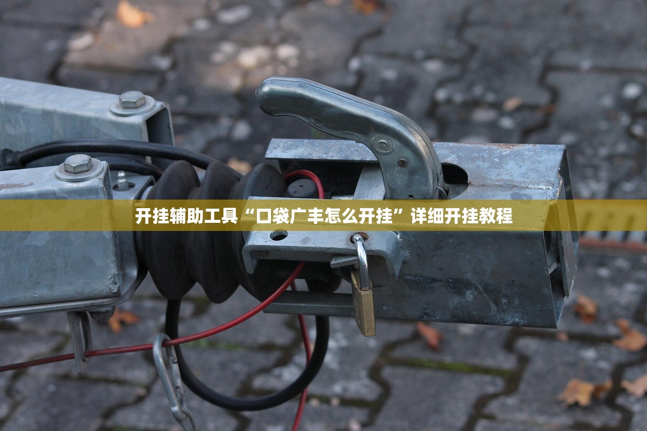 开挂辅助工具“口袋广丰怎么开挂”详细开挂教程