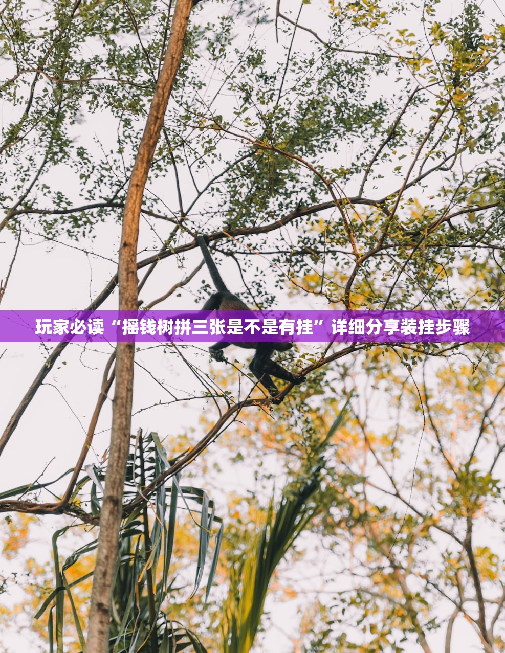必学教你安装“丫丫诗词真的有挂吗	”(原来确实是有插件)