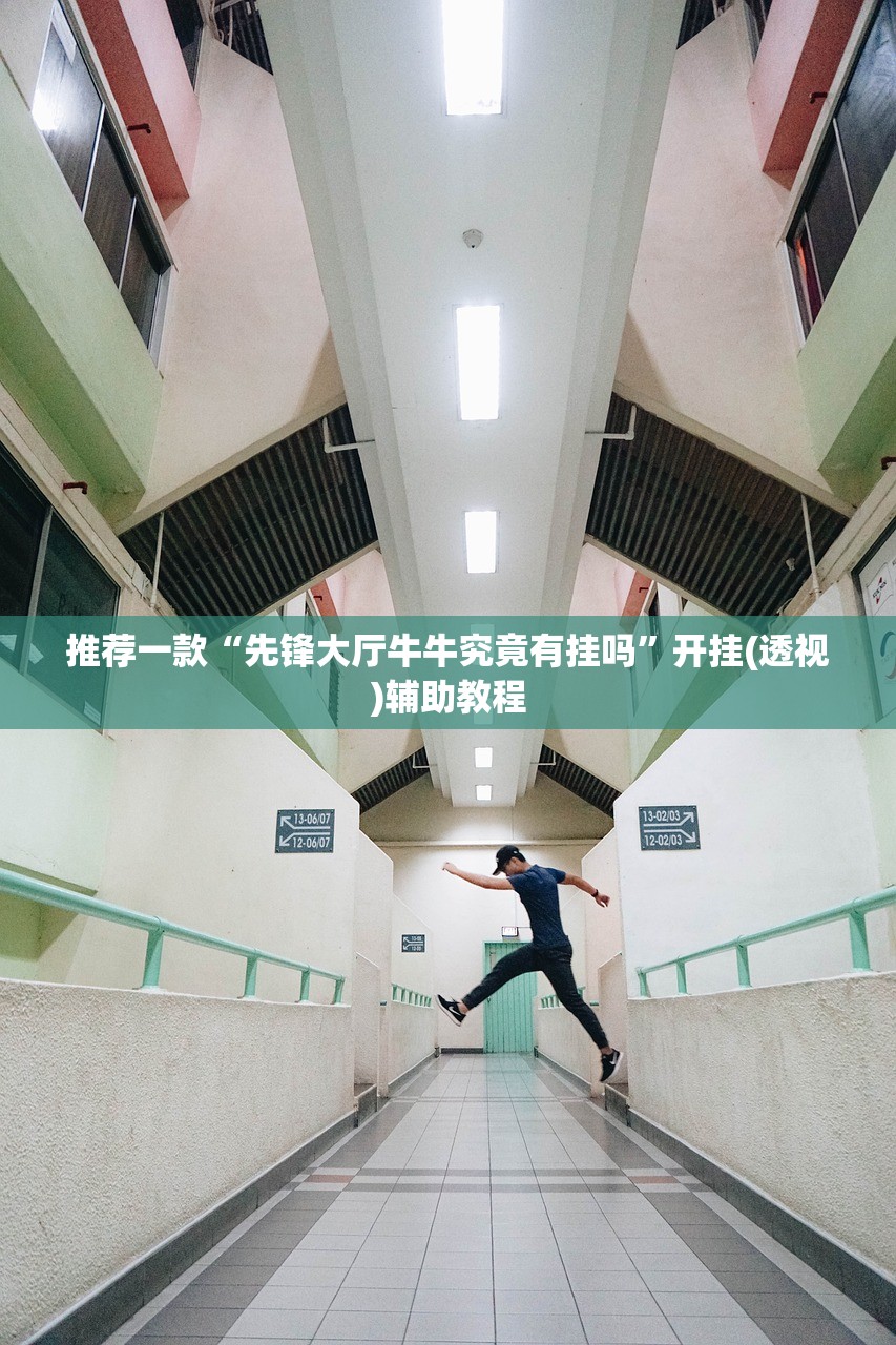 推荐一款“杭州都莱大菠萝买了挂有用吗”(原来确实是有插件) 