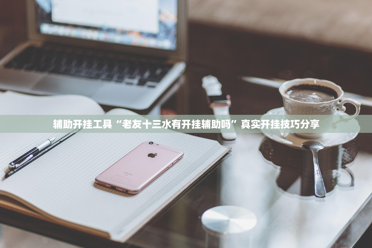 辅助开挂工具“老友十三水有开挂辅助吗”真实开挂技巧分享