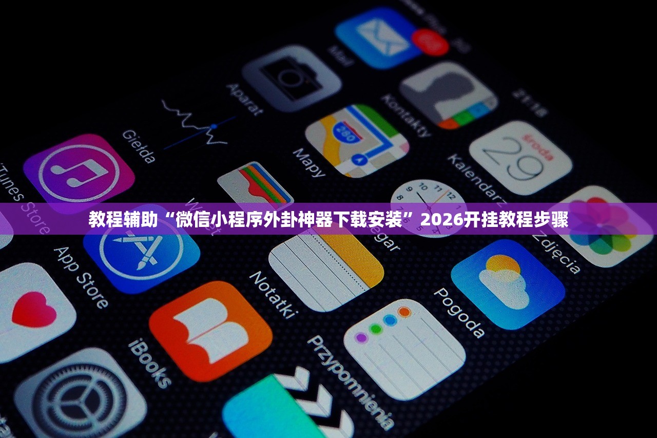 教程辅助“微信小程序外卦神器下载安装”2026开挂教程步骤