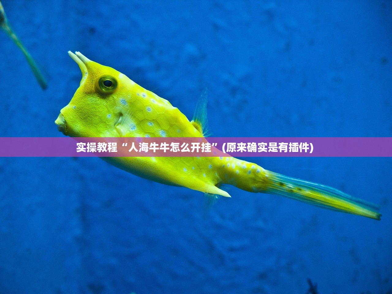 实操教程“人海牛牛怎么开挂”(原来确实是有插件) 