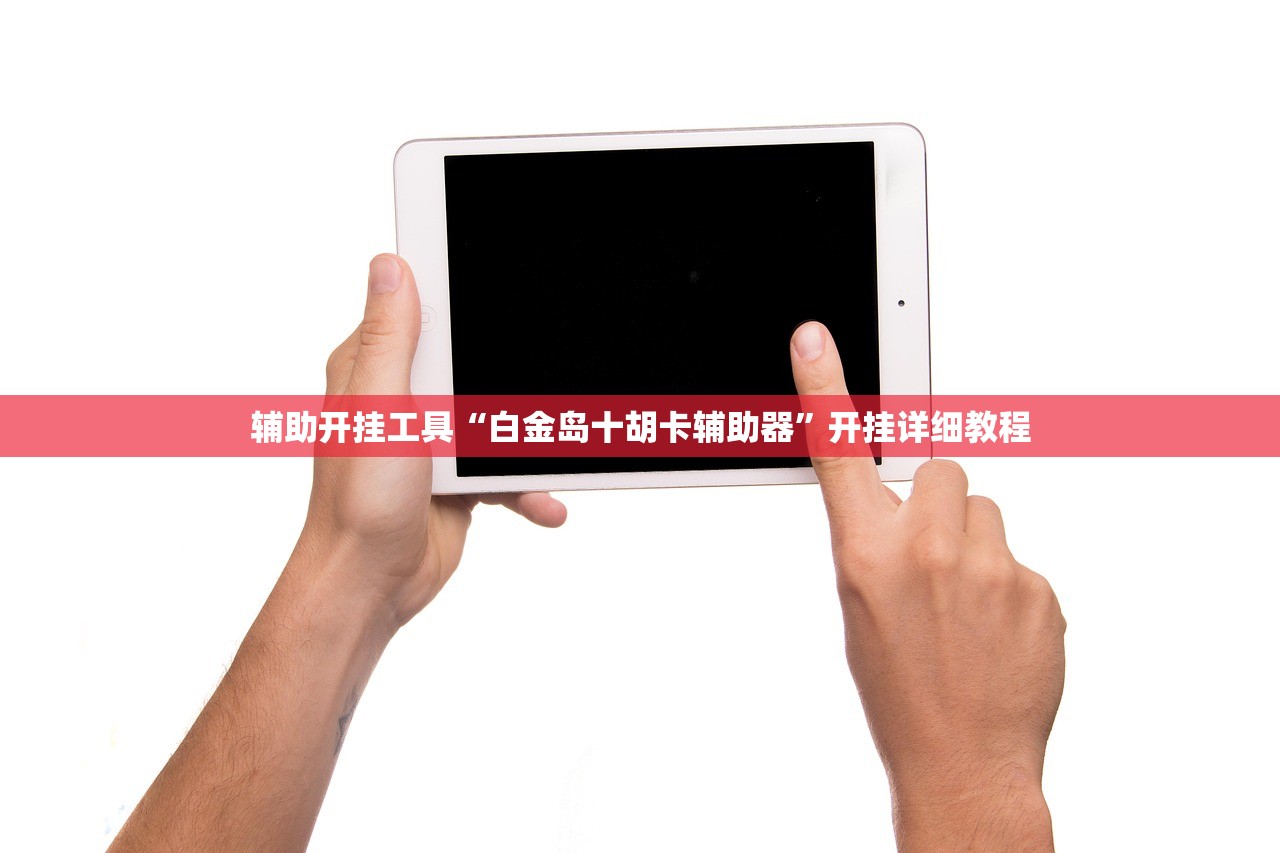 辅助开挂工具“白金岛十胡卡辅助器”开挂详细教程