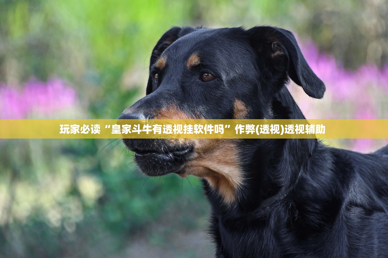 玩家必读“皇家斗牛有透视挂软件吗”作弊(透视)透视辅助 