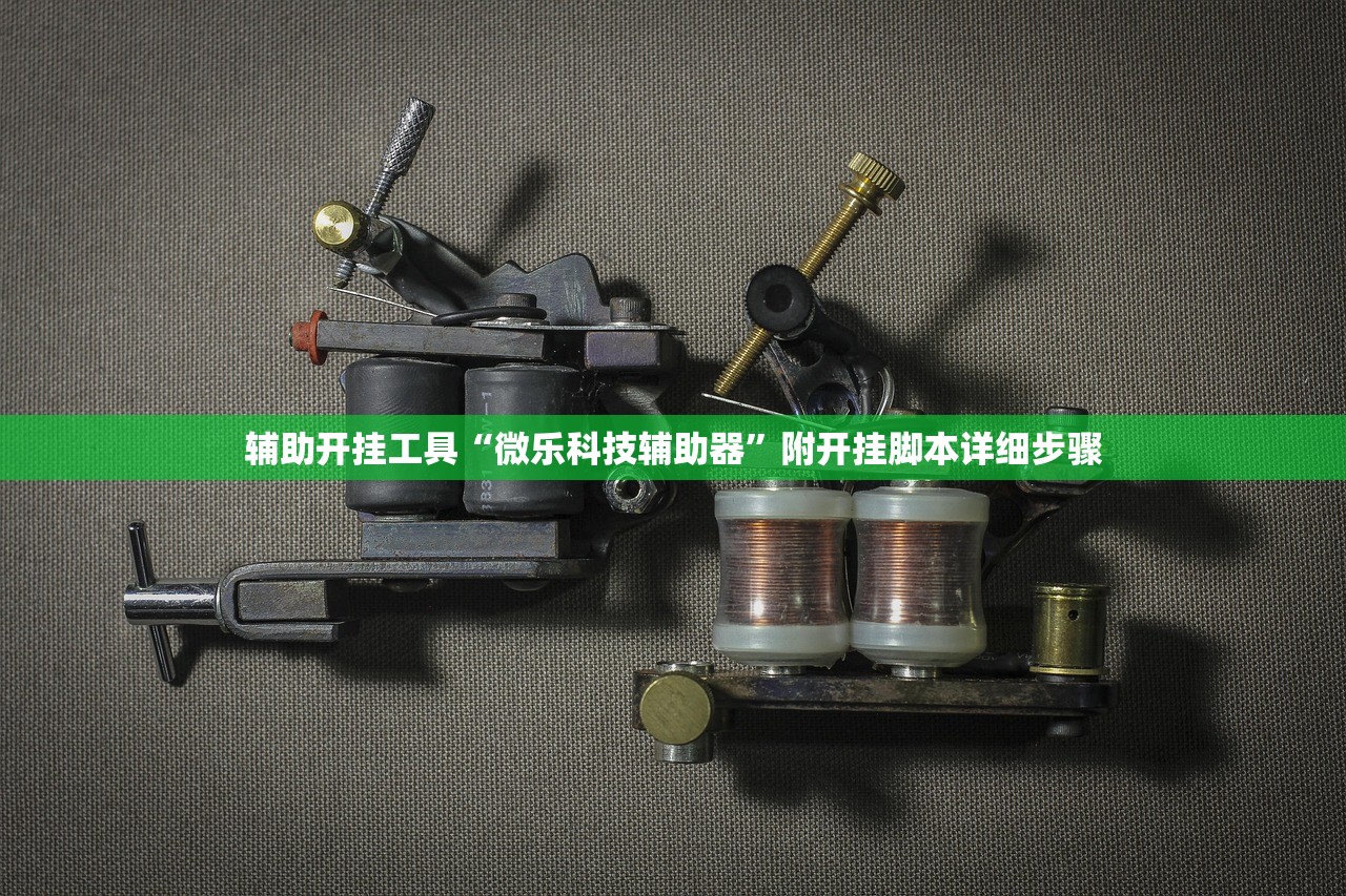 辅助开挂工具“微乐科技辅助器”附开挂脚本详细步骤