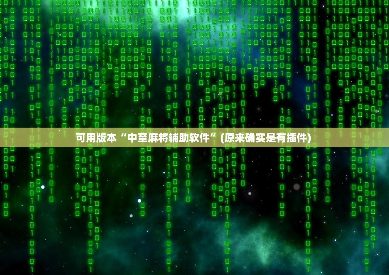 可用版本“中至麻将辅助软件”(原来确实是有插件) 