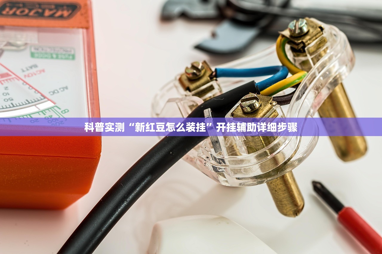 科普实测“新红豆怎么装挂	”开挂辅助详细步骤