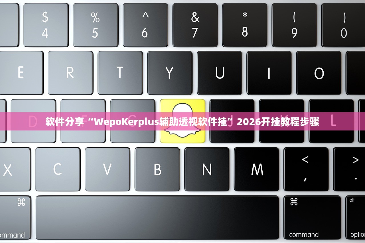 软件分享“WepoKerplus辅助透视软件挂	”2026开挂教程步骤