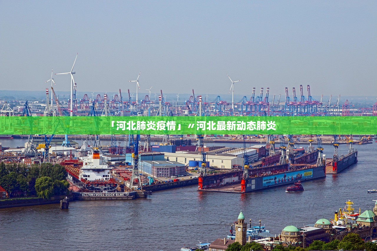 「河北肺炎疫情」〃河北最新动态肺炎