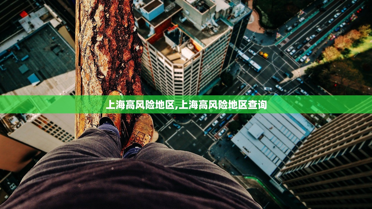 上海高风险地区,上海高风险地区查询