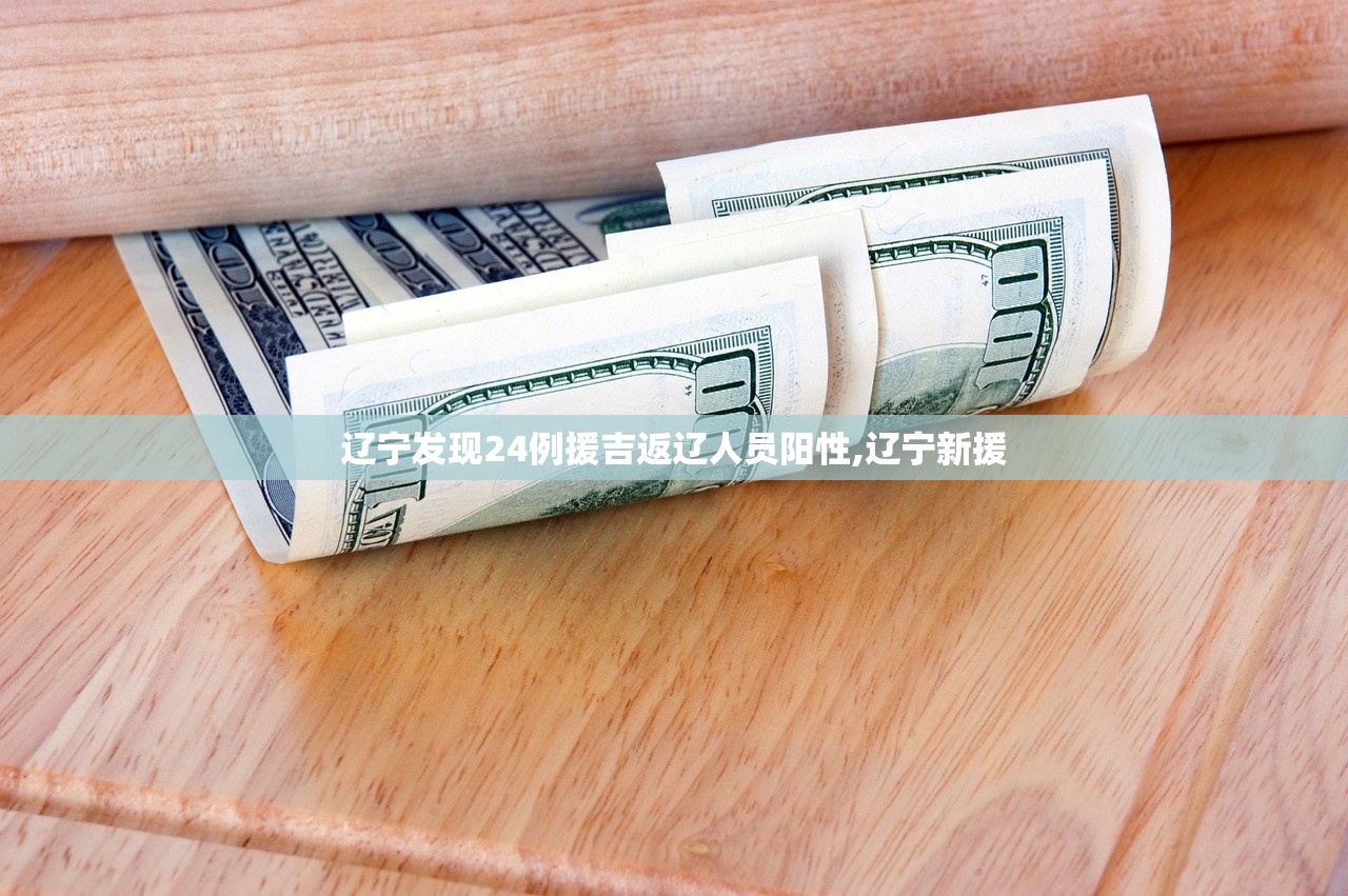 辽宁发现24例援吉返辽人员阳性,辽宁新援