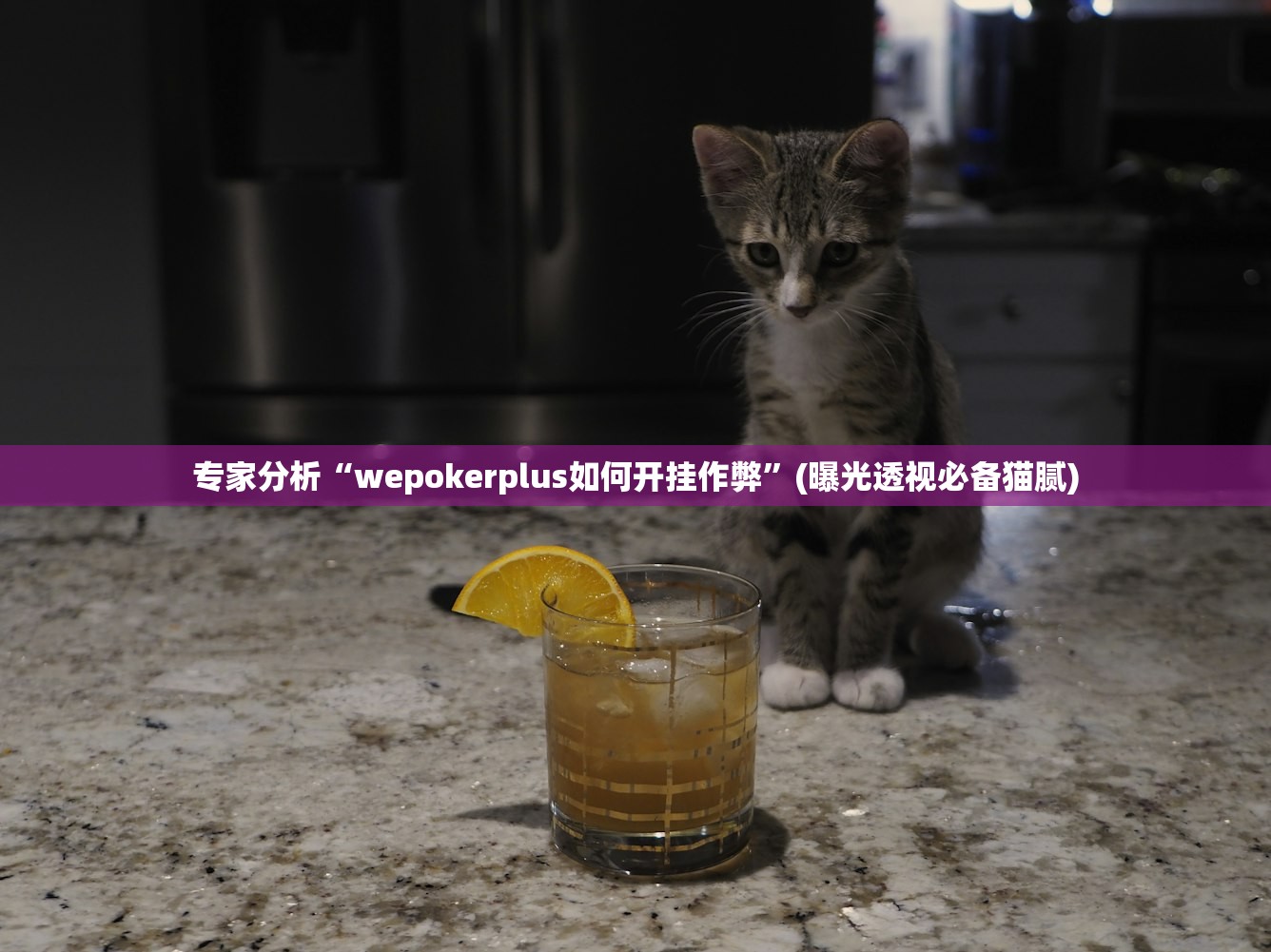 专家分析“wepokerplus如何开挂作弊	”(曝光透视必备猫腻)