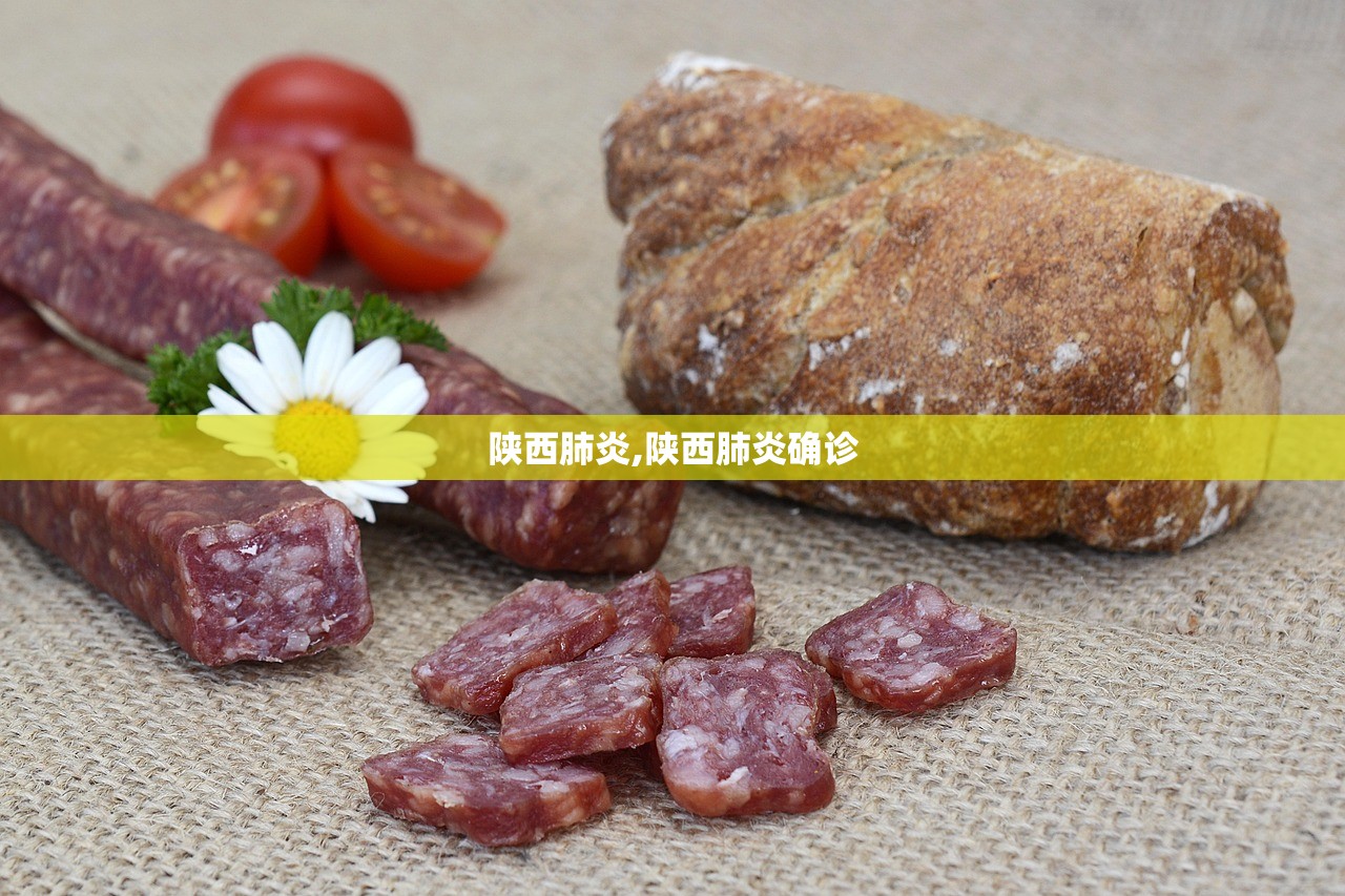 陕西肺炎,陕西肺炎确诊