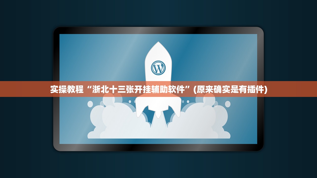 实操教程“浙北十三张开挂辅助软件	”(原来确实是有插件)