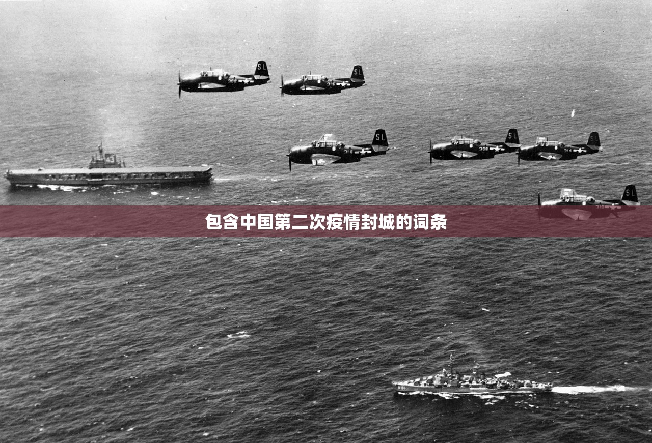 包含中国第二次疫情封城的词条