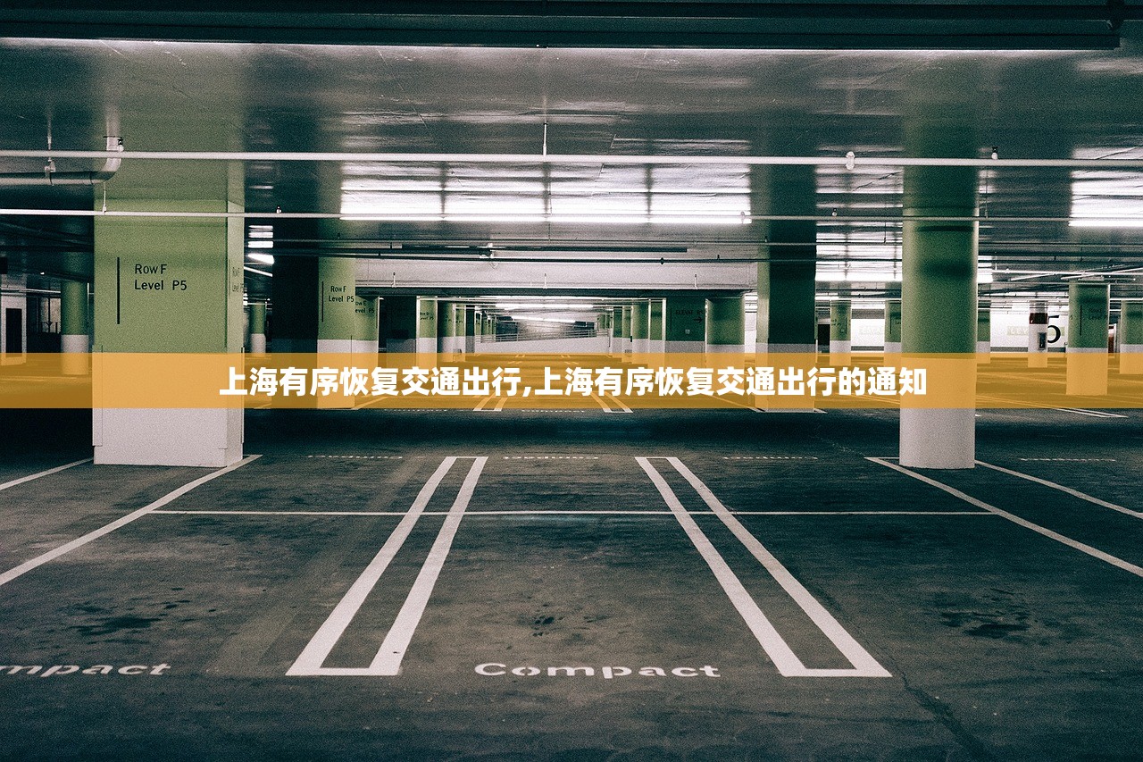 上海有序恢复交通出行,上海有序恢复交通出行的通知