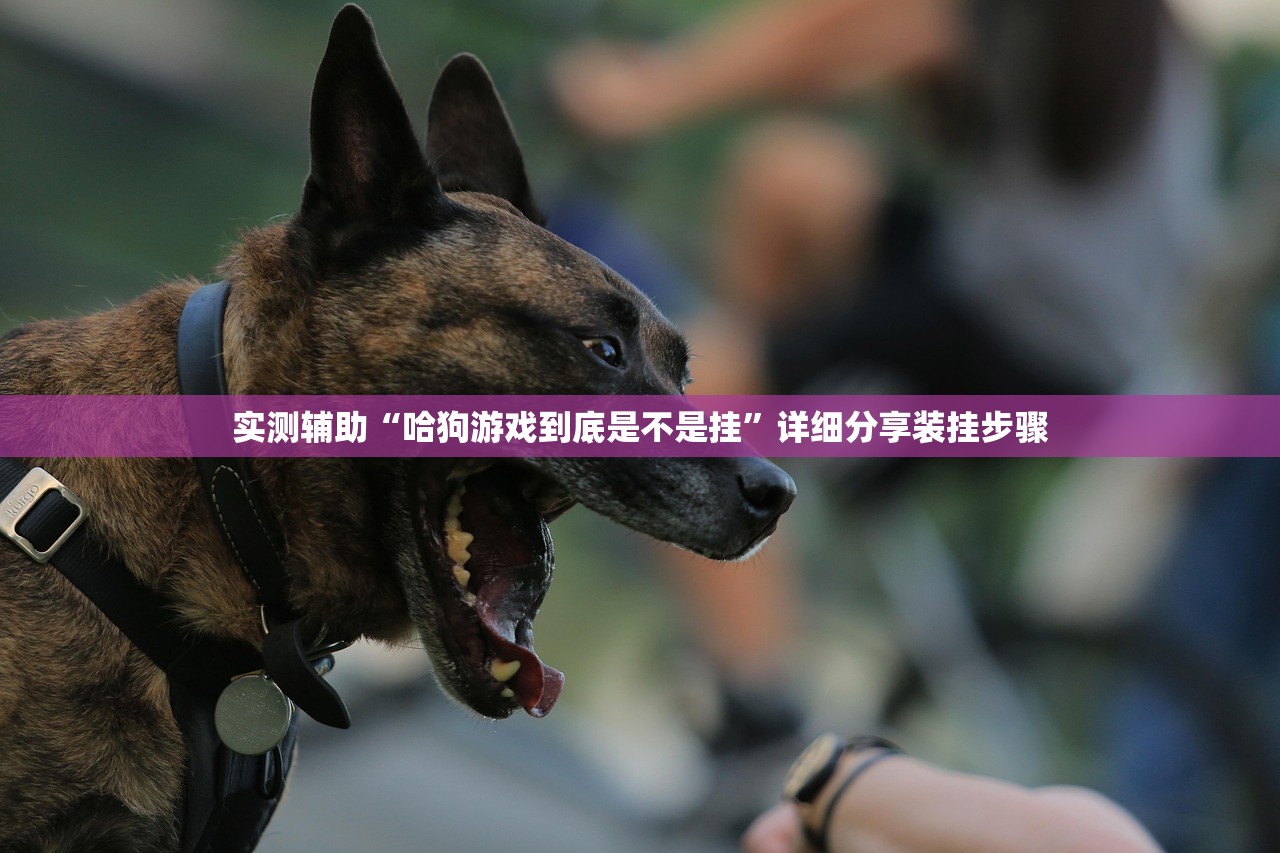 实测辅助“哈狗游戏到底是不是挂	”详细分享装挂步骤