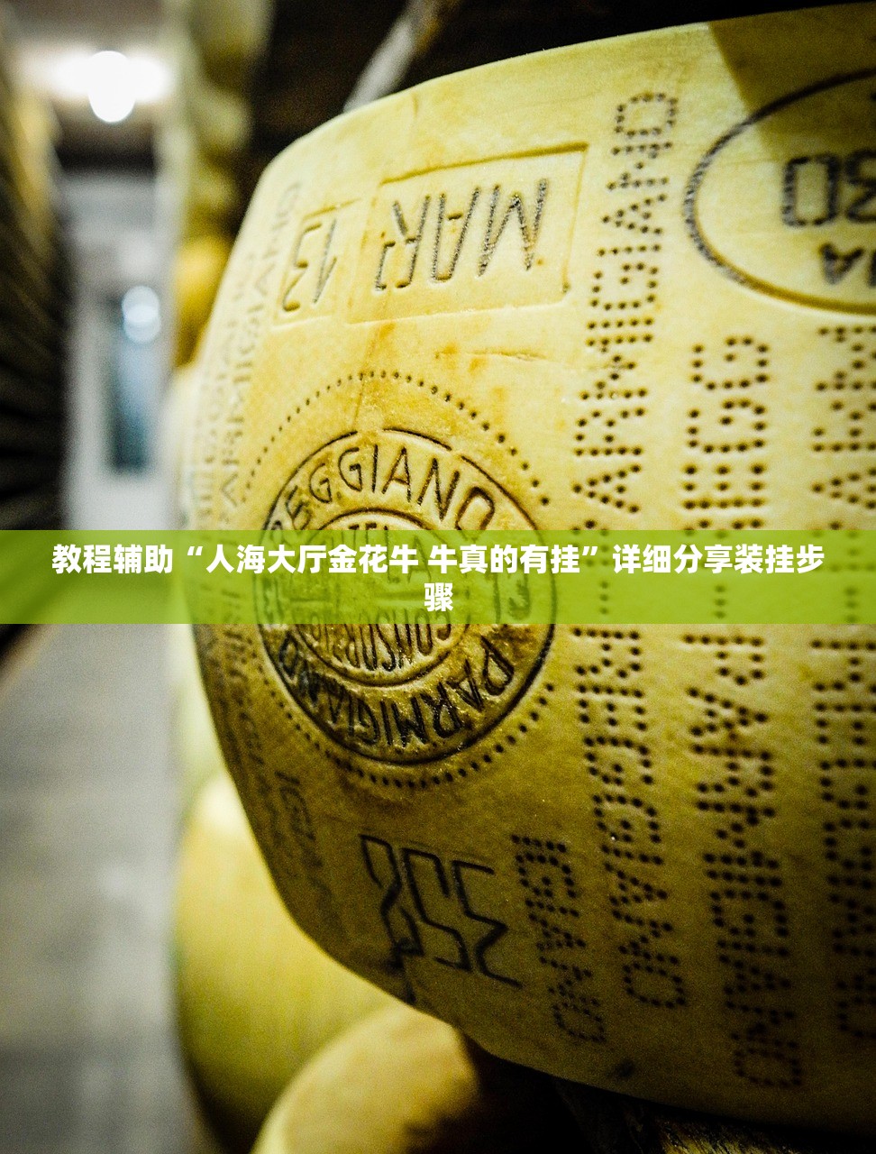 今日教程“丫丫江西麻将可以开挂吗”附开挂脚本详细教程-知乎